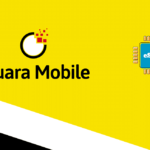 Brunei 2 GB - 15 days